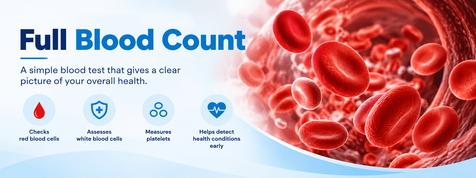 Full Blood Count Infographic